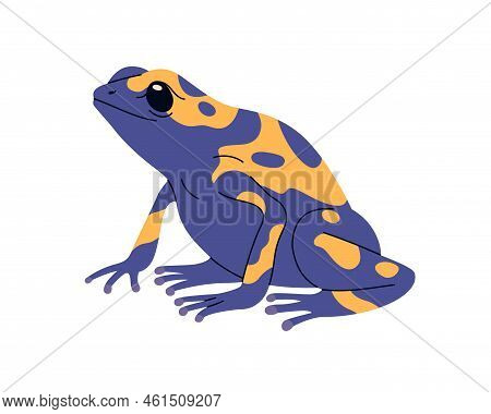 Poison Dart Tree Frog Of Yellow And Blue Color. Toxic Exotic Amphibian Reptile. Tropical Froglet Wit