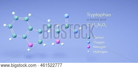 Tryptophan, Molecular Structures, Amino Acid, 3d Model, Structural Chemical Formula And Atoms With C