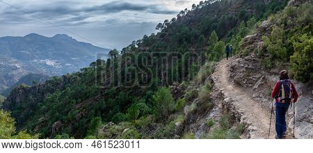 Panoramic View Composed Of A Path Traveled By A Hiker, A Hillside Full Of Pine Trees And Mountains O
