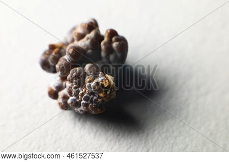 Macro Extreme Nephrolithiasis - Close-up Of A Kidney Stone Renal Calculus Or Nephrolitis On A White 