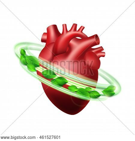 Healthy Human Heart In Green Protective Circle With Fresh Leaves. Healthcare Concept.