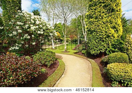 Bellissimo giardino di primavera