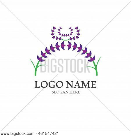 Fresh Lavender Flower Logo Vector