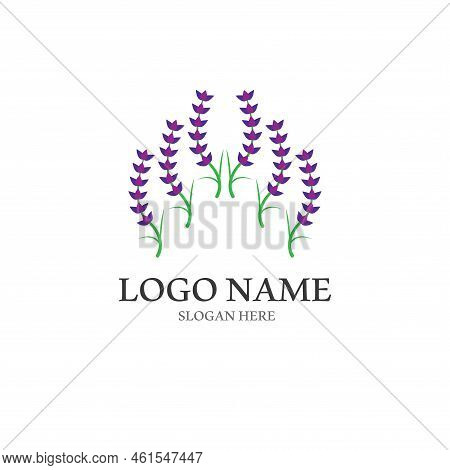 Fresh Lavender Flower Logo Vector