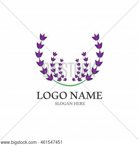 Fresh Lavender Flower Logo Vector