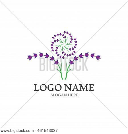 Fresh Lavender Flower Logo Vector