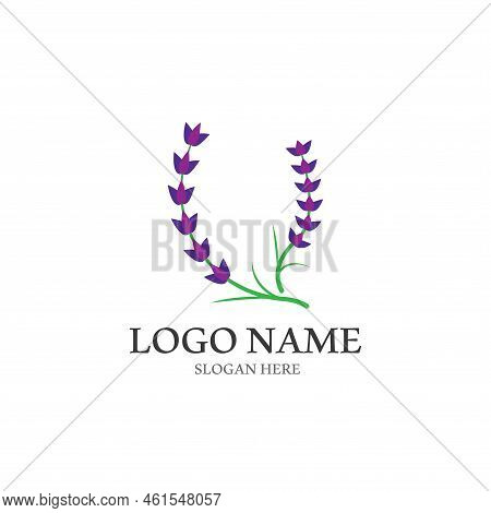Fresh Lavender Flower Logo Vector