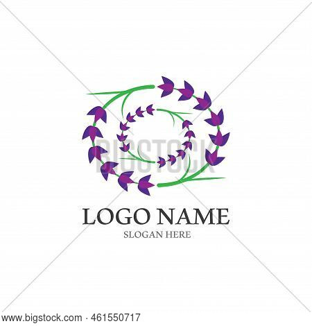 Fresh Lavender Flower Logo Vector