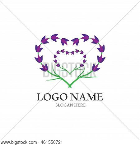 Fresh Lavender Flower Logo Vector