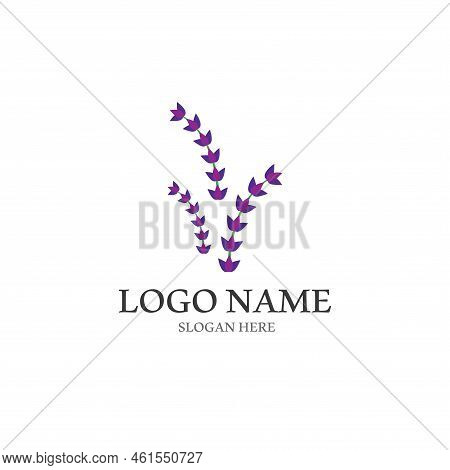 Fresh Lavender Flower Logo Vector