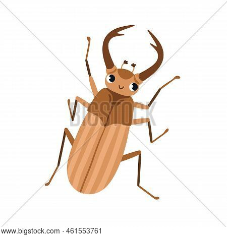 Cute Chafer, May Bug. Funny Maybug Character, Childish Insect. Happy Smiling Cockchafer, Top View. L