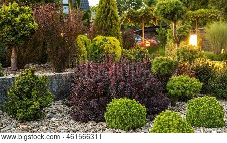 Mature Residential Rockery Garden Illuminated By Led Lighting. Gardening And Landscaping Theme.