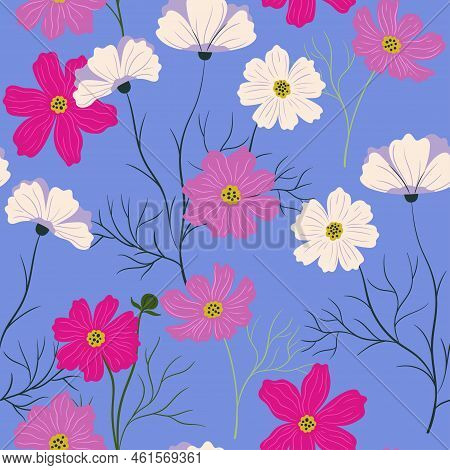 Seamless Pattern With Pink And White Cosmea Flowers. Vector Image.