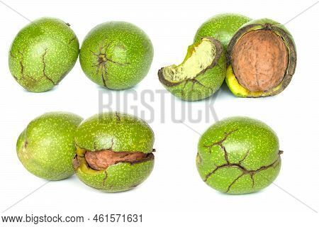 Set Of Walnut In Cracked Pericarp Isolated On A White Background. Collection Of Walnuts In Green Per
