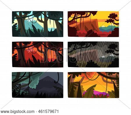 Jungle And Rainforest With Dense Trees, Lush Vegetation And Hanging Lianas Picture Vector Set