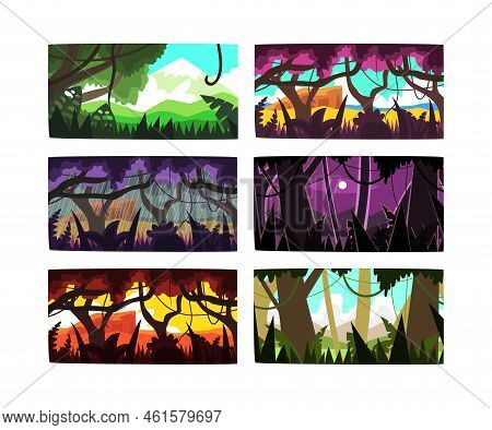 Jungle And Rainforest With Dense Trees, Lush Vegetation And Hanging Lianas Picture Vector Set