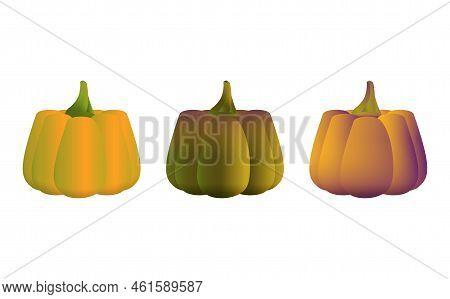 Pumpkins Collection In Realistic Style. Dark And Orange Fresh Pumpkin. Helloween Autumn Holiday. Col