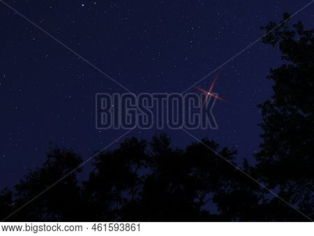 Bright Redt Star Rising For Christmas Over A Treeline In North Carolina