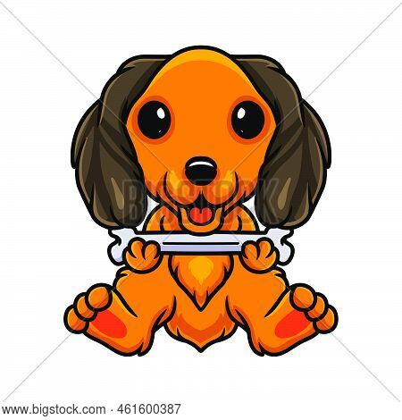 Vector Illustration Of Cute Dachund Dog Cartoon Holding A Bone