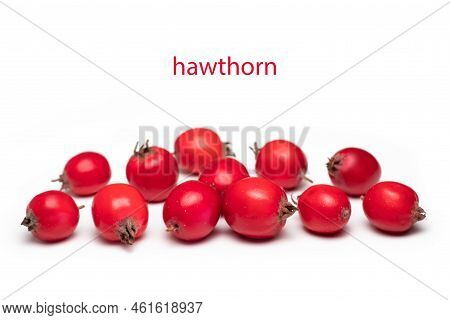 Hawthorn Or Common Hawthorn Or Crataegus Monogyna Berries Isolated On White Background.