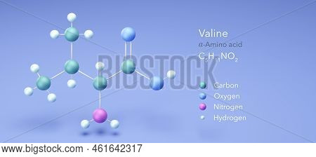 Valine, Molecular Structures, Amino Acid, 3d Model, Structural Chemical Formula And Atoms With Color
