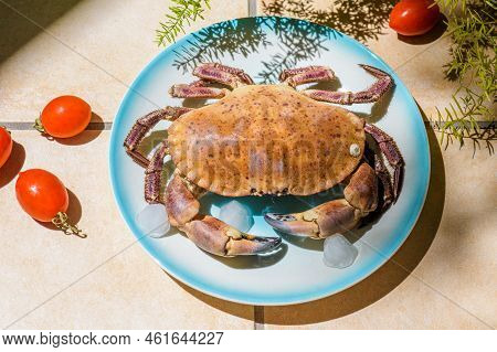 Fresh Raw Edible Brown Sea Crab Also Known As Cancer Pagurus By Mediterranean Sea On Blue Plate With