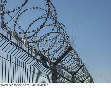 Barbed, Razor Wire - Some Coils Of Barbed Wire Razor Fence