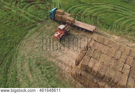 Hay Trailer With Round Bales. Front End Loader Unloading Round Bales. Store Hay At Farm. Hay Rolls A