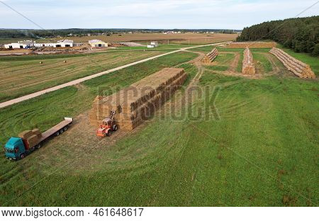 Hay Trailer With Round Bales. Front End Loader Unloading Round Bales. Store Hay At Farm. Hay Rolls A