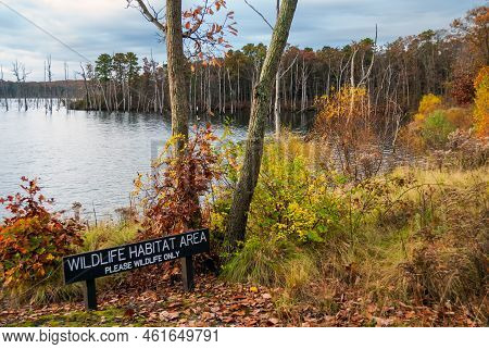 An Autumn Scene With Wildlife Sign At Manasquan Reservoir In New Jersey.