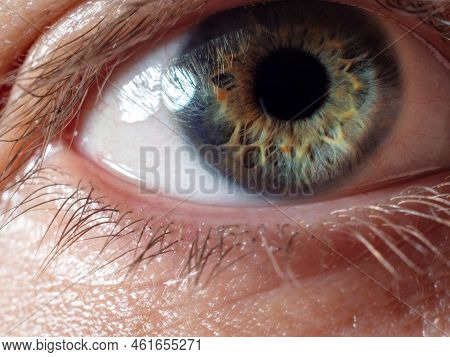 Male Eye Close-up, Pupil And Gray-green Iris Of The Eye, Vision Concept