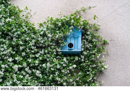 Blue Feeder Hanging On Grey Wall Waits For Birds To Occupy Place. Feeding Trough Surrounded By Green