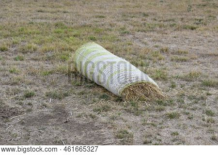 The Tiniest Straw Bale Ever Seen On The Fields