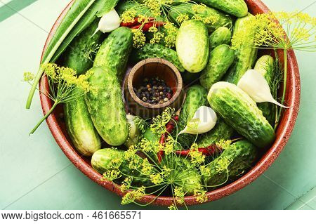 Homemade Cucumber Pickling And Ingredients
