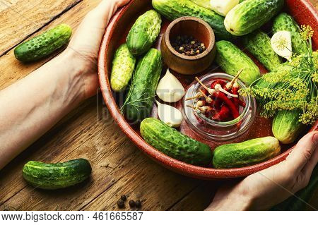 Raw Cucumbers And Ingredients For Cooking Pickled Cucumbers
