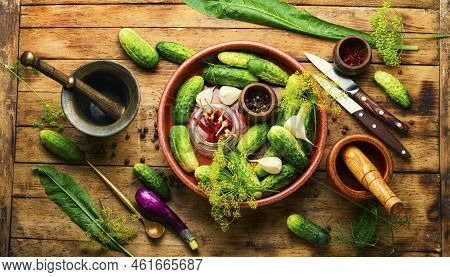 Homemade Cucumber Pickling And Ingredients