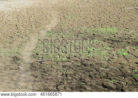 Weird Line In A Swamp Lake With Cracked Ground