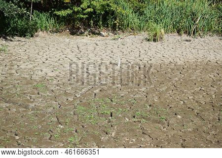 Swamp Lake Of A Nature Reserve During Summer Drought Without Water And Cracked Ground