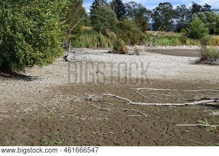 Swamp Lake Of A Nature Reserve During Summer Drought Without Water And Cracked Ground