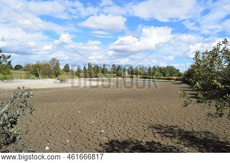 Swamp Lake Of A Nature Reserve During Summer Drought Without Water And Cracked Ground