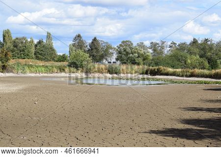 Swamp Lake Of A Nature Reserve During Summer Drought Without Water And Cracked Ground