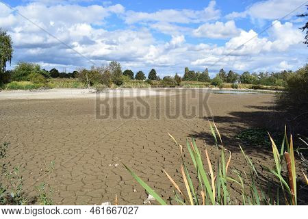 Swamp Lake Of A Nature Reserve During Summer Drought Without Water And Cracked Ground