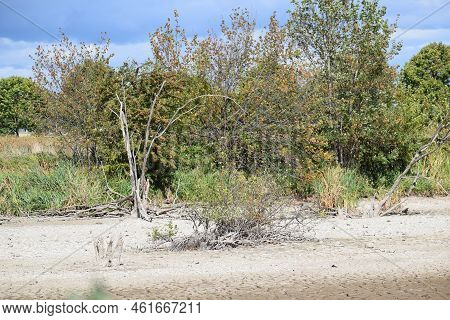 Dry Lake With Some Dead Wood On The Cracked Ground