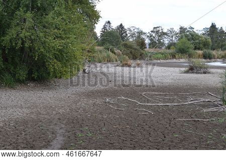 Dry Swamp Lake With A Tiny Waterhole