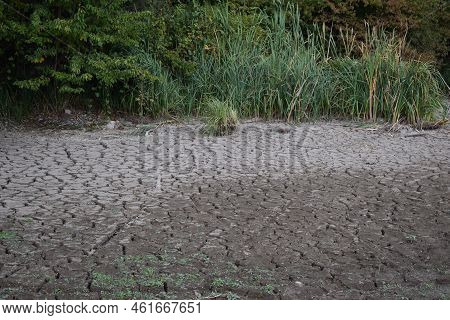 Dry Swamp Lake With A Tiny Waterhole
