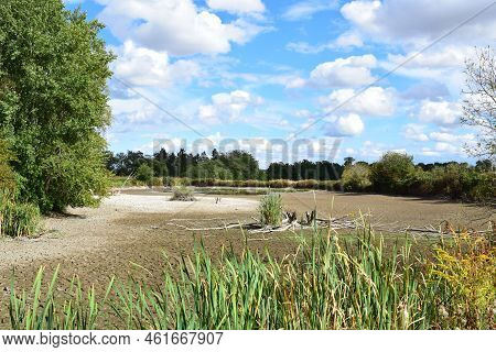 Almost Dry Swamp Lake In Nature Reserve Thürer Wiesen