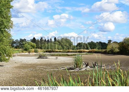 Almost Dry Swamp Lake In Nature Reserve Thürer Wiesen