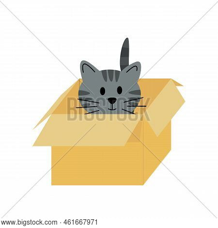 Cat In Pasteboard Box. Kitten. Flat, Cartoon, Vector