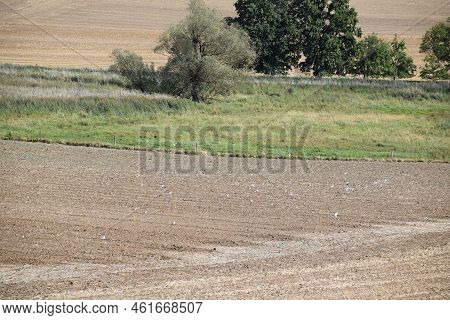 Farmland To The Edge Of The Swamp