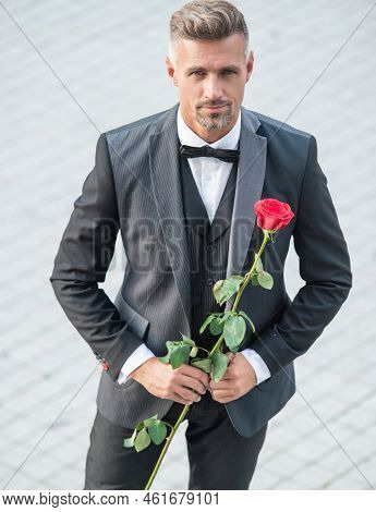 Elegant Man In Tux. Man Wearing Tux Suit Outside. Handsome Tux Man With Red Rose
